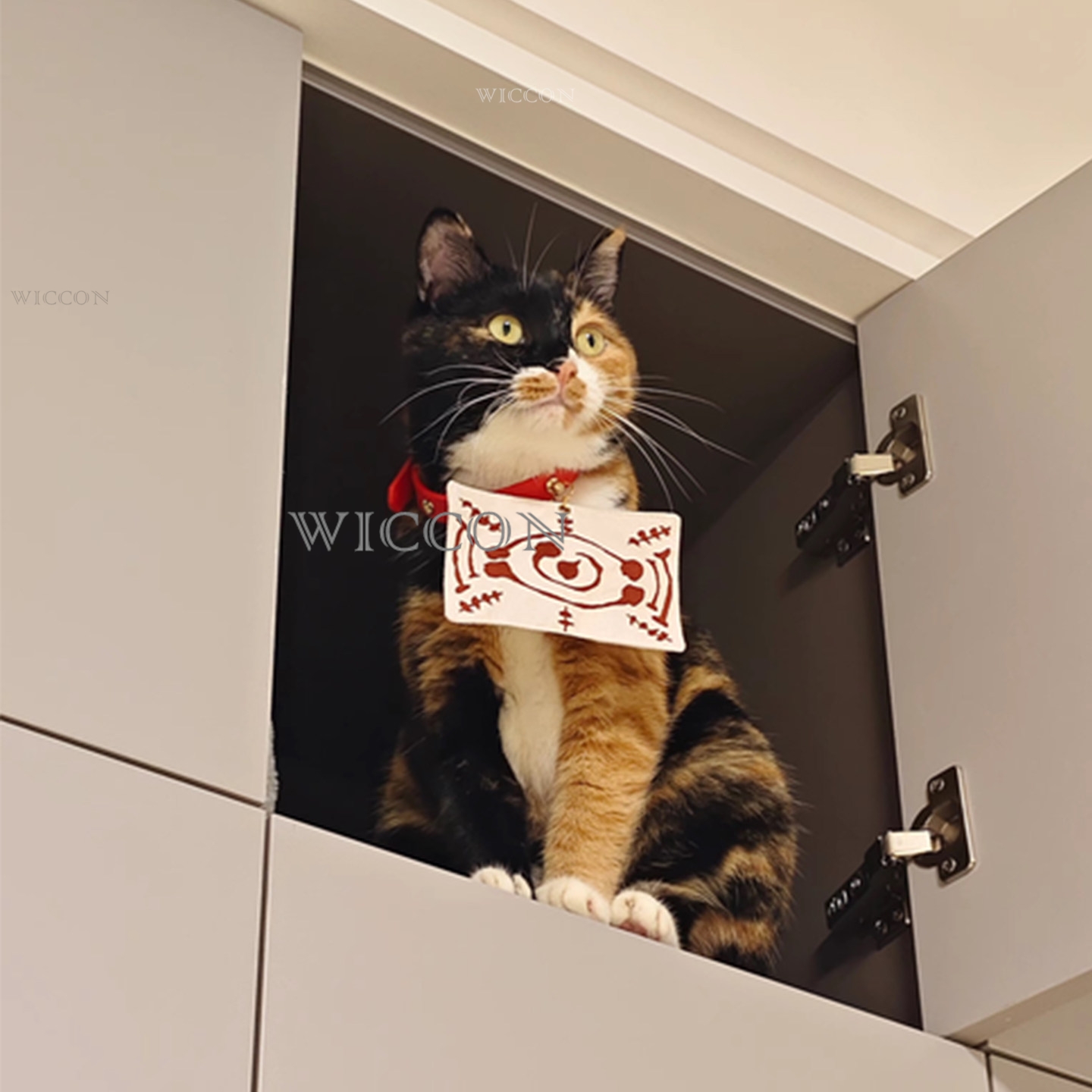 Chachamaru Cat Tamayos Pets Co - đánh giá và giá Cosplay Anime Jjk